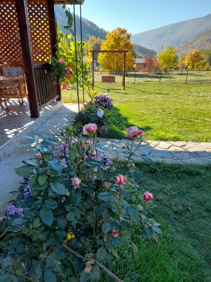 Apartmani Petar Mokra Gora Exterior foto