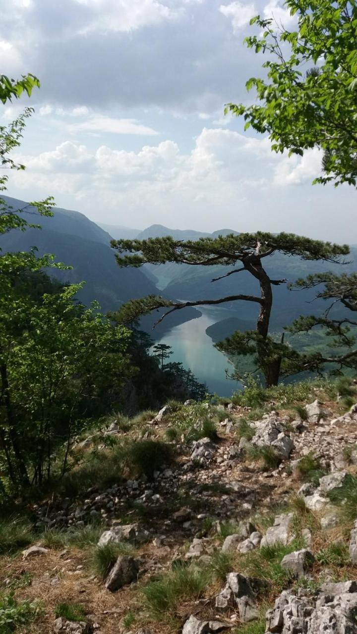 Apartmani Petar Mokra Gora Exterior foto